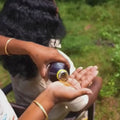hakki pikki adivasi oil